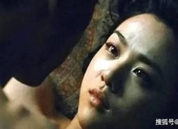 成人区国产,国产生态下的成人区发展概览