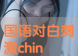 国产对白刺激在线观看