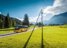 青青草国产线观