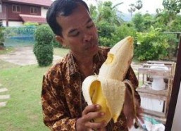 国产成人大香蕉,探索国产成人影视的崛起与魅力